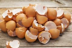 К чему снятся разбитые яйца и что они предвещают?